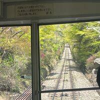 画像1329